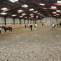 Les Ecuries de la Noue: stalls and paddocks, horse boarding in Sablonnières - Photo 2 of 5