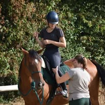 Les Écuries de la Courbotterie : box et paddocks, pension pour chevaux à Vausseroux - Photo 5 sur 5