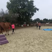 Les Écuries de la Courbotterie : box et paddocks, pension pour chevaux à Vausseroux - Photo 4 sur 5