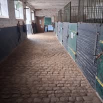 Relais Joly : box et paddocks, pension pour chevaux à Fontaine-Valmont - Photo 4 sur 5