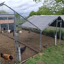 Relais Joly : box et paddocks, pension pour chevaux à Fontaine-Valmont - Photo 3 sur 5