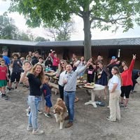 Les ecurie de Prince: box e paddock, pensione per cavalli a Fontaine-le-Bourg - Foto 1 di 5