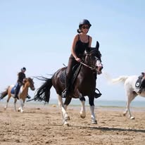 Les ecurie de Prince: box e paddock, pensione per cavalli a Fontaine-le-Bourg - Foto 5 di 5