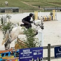 Ecurie les Luacas : box et paddocks, pension pour chevaux à La Sauve - Photo 4 sur 5