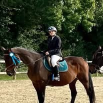Poney Club de Mazeray : box et paddocks, pension pour chevaux à Mazeray - Photo 5 sur 5