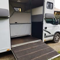 Caid des Fougères - ÉLEVAGE DE RELIER : box et paddocks, pension pour chevaux à Albias - Photo 5 sur 6