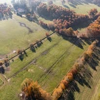 Caid des Fougères - ÉLEVAGE DE RELIER : box et paddocks, pension pour chevaux à Albias - Photo 4 sur 6