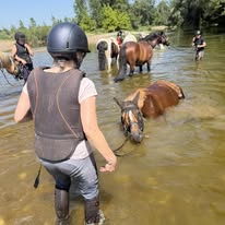 Les Ecuries de Pray : box et paddocks, pension pour chevaux à Chargé - Photo 4 sur 4