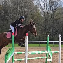 Les Ecuries de Pray : box et paddocks, pension pour chevaux à Chargé - Photo 3 sur 4