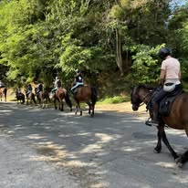Les Ecuries de Pray : box et paddocks, pension pour chevaux à Chargé - Photo 2 sur 4