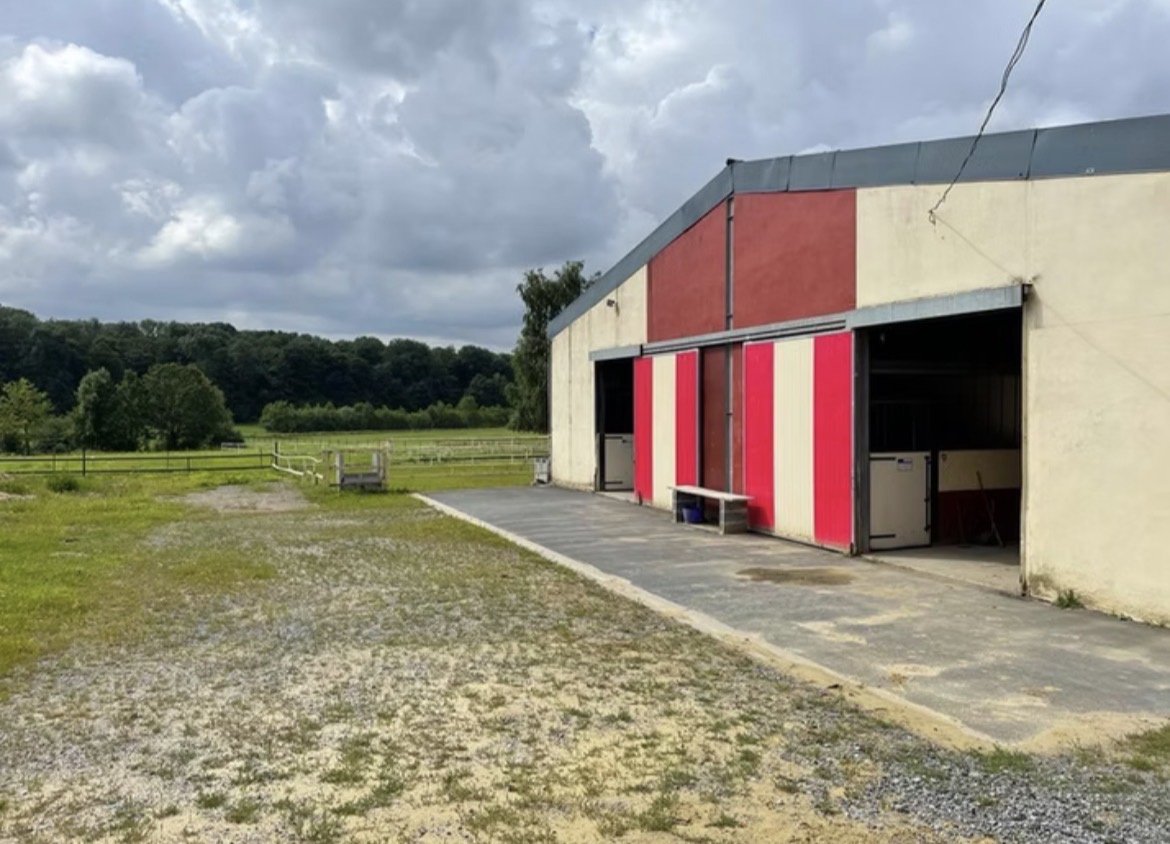 Les écuries de Chigny : box et paddocks, pension pour chevaux à Chigny - Photo 3 sur 4