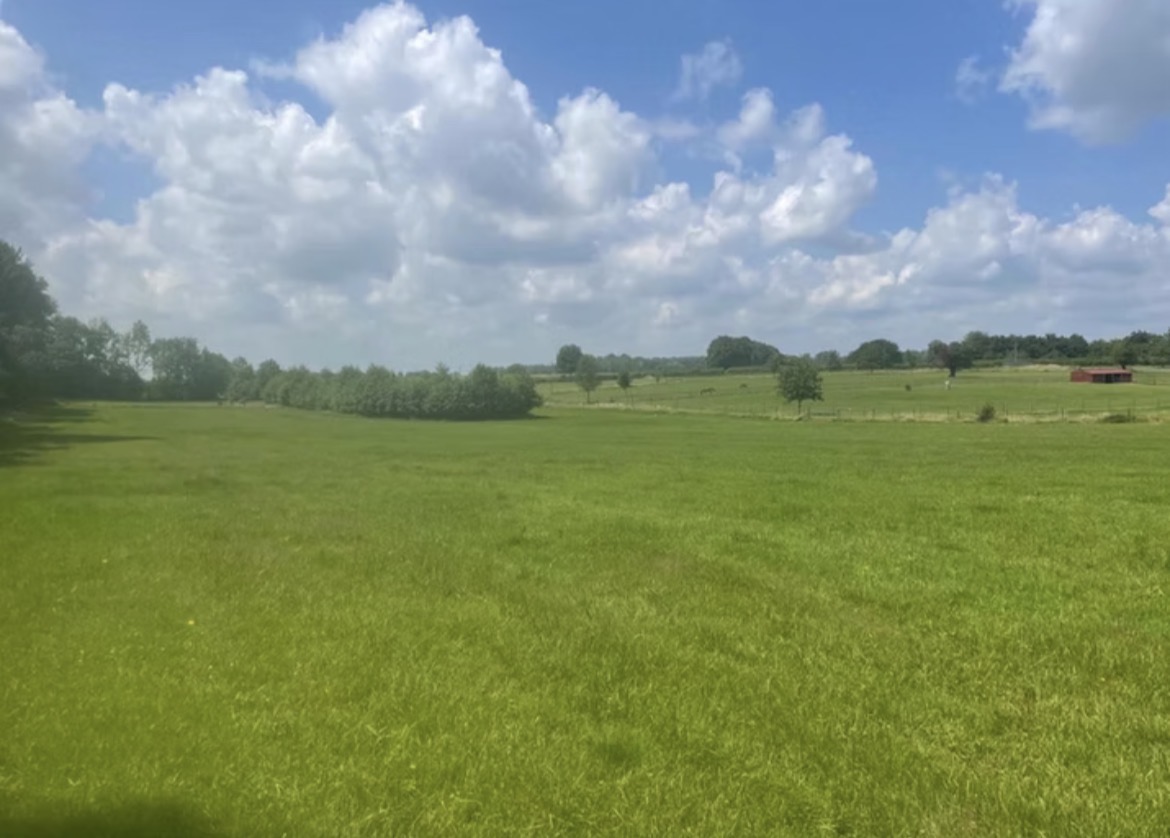 Les écuries de Chigny : box et paddocks, pension pour chevaux à Chigny - Photo 1 sur 4