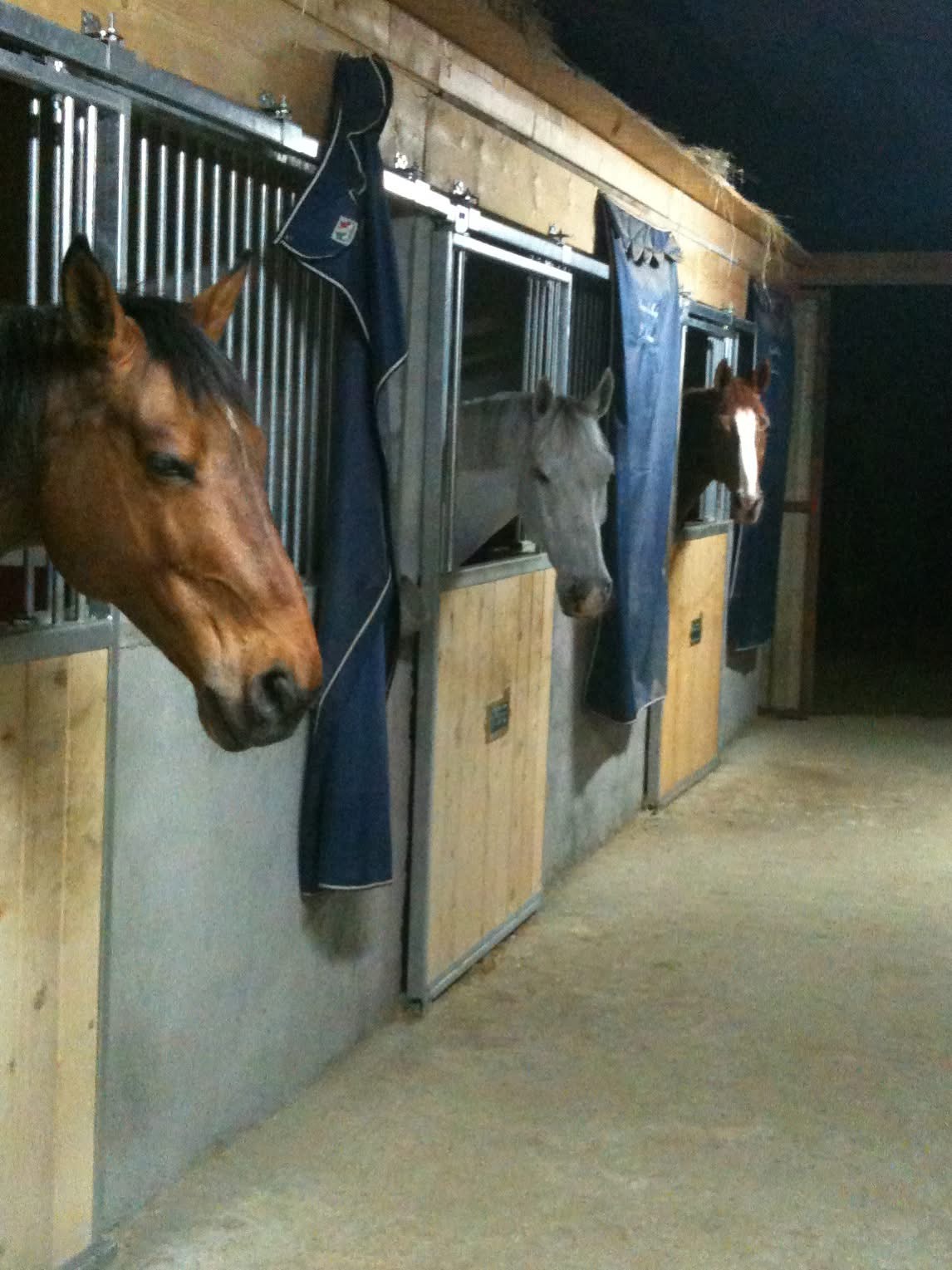 Les écuries de la source - SAS DE LA SOURCE : box et paddocks, pension pour chevaux à Bénac - Photo 2 sur 5
