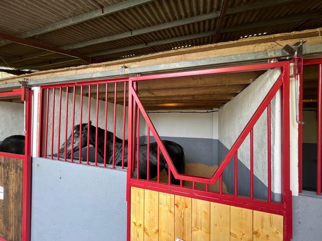 Les écuries de la source - SAS DE LA SOURCE : box et paddocks, pension pour chevaux à Bénac - Photo 5 sur 5
