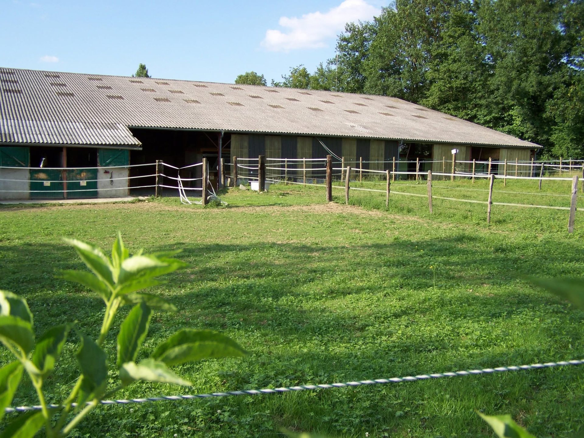 Les écuries de la source - SAS DE LA SOURCE : box et paddocks, pension pour chevaux à Bénac - Photo 4 sur 5