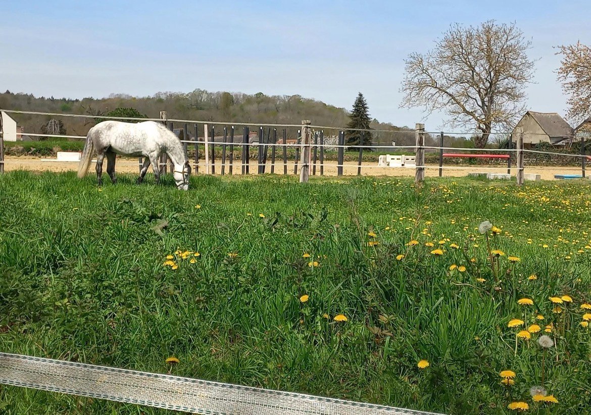 Les écuries de la source - SAS DE LA SOURCE : box et paddocks, pension pour chevaux à Bénac - Photo 3 sur 5