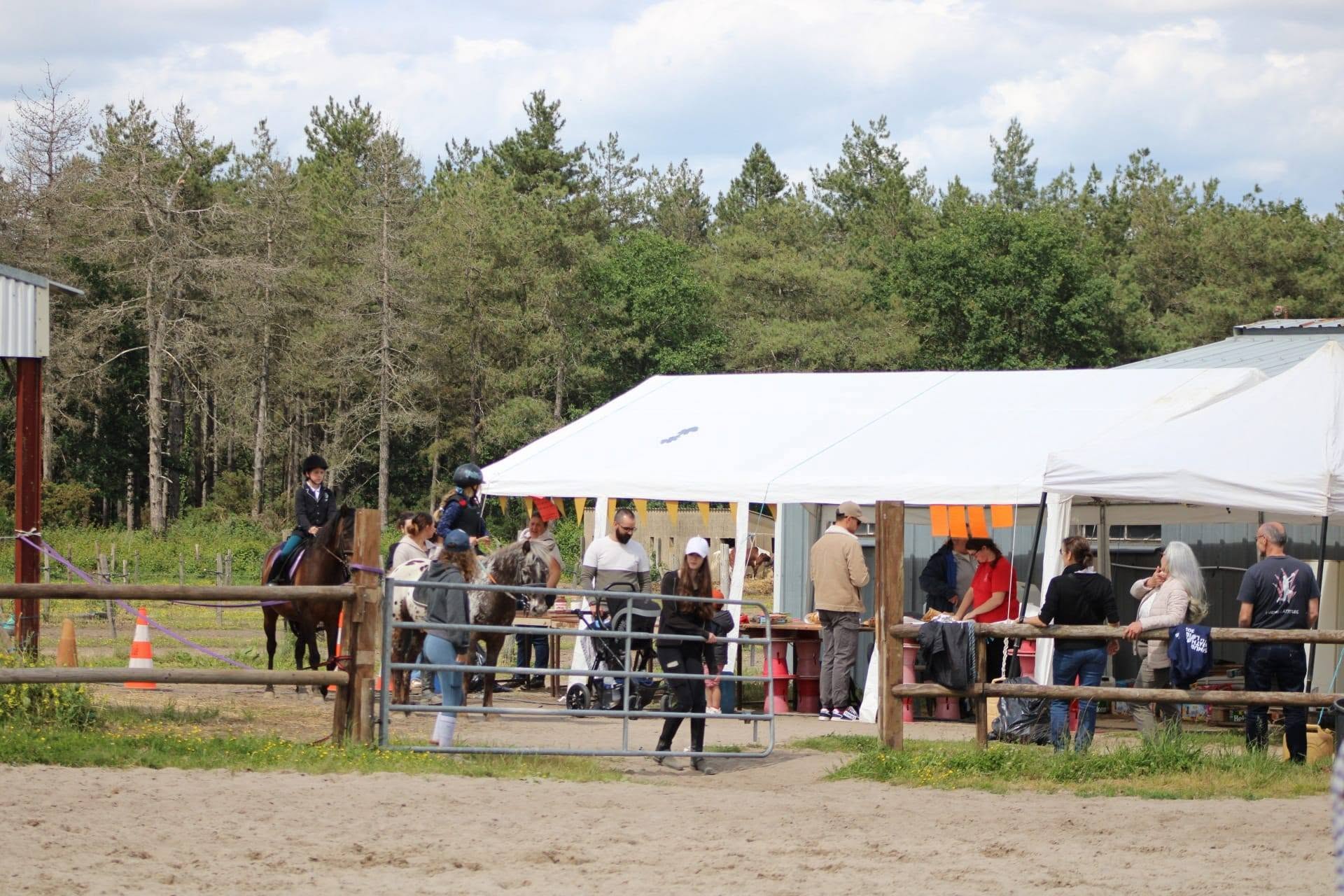 Haras du Bois Marie : box et paddocks, pension pour chevaux à Saint Macaire du Bois - Photo 3 sur 5