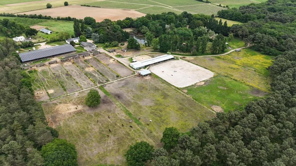 Haras du Bois Marie : box et paddocks, pension pour chevaux à Saint Macaire du Bois - Photo 1 sur 5