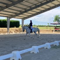 Centre équestre La Poneyterie : box et paddocks, pension pour chevaux à Millery - Photo 4 sur 7