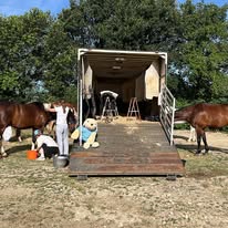 Centre équestre La Poneyterie : box et paddocks, pension pour chevaux à Millery - Photo 5 sur 7