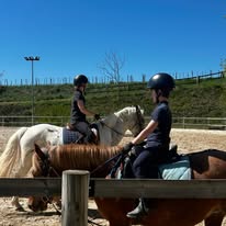 Centre équestre La Poneyterie : box et paddocks, pension pour chevaux à Millery - Photo 2 sur 7