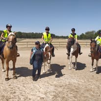Centre équestre La Poneyterie : box et paddocks, pension pour chevaux à Millery - Photo 6 sur 7