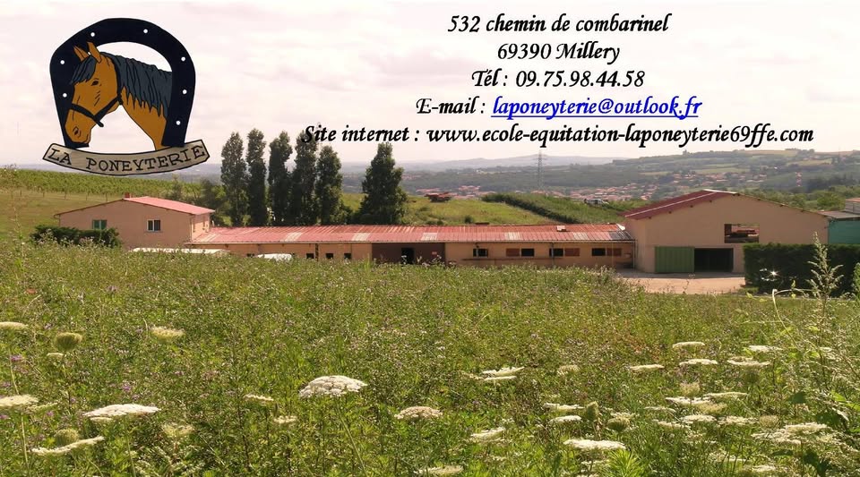 Centre équestre La Poneyterie : box et paddocks, pension pour chevaux à Millery - Photo 1 sur 7