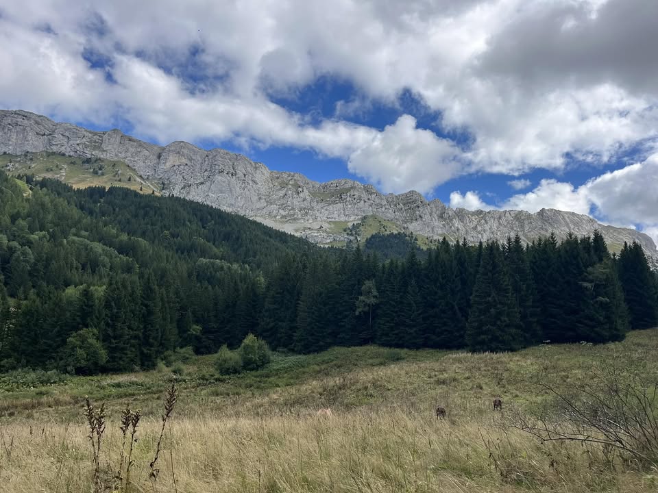 Les Fermes Equestres du Vercors : box et paddocks, pension pour chevaux à Villard-de-Lans - Photo 1 sur 2