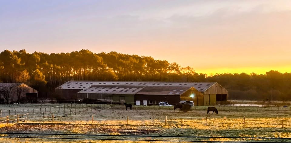 Ferme Équestre de Saint Sauveur : box et paddocks, pension pour chevaux à Merlevenez - Photo 1 sur 5