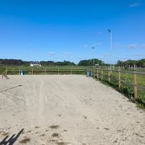 Ferme Équestre de Saint Sauveur : box et paddocks, pension pour chevaux à Merlevenez - Photo 3 sur 5