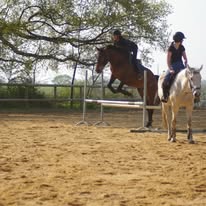 Les écuries de Bel-Air (SPITERI SARRY SOLEDAD) : box et paddocks, pension pour chevaux à Saint-Sauvant - Photo 3 sur 5