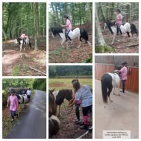 Centre Équestre de l'Orival : box et paddocks, pension pour chevaux à Les Grandes-Ventes - Photo 5 sur 5