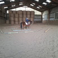 Centre Équestre de l'Orival : box et paddocks, pension pour chevaux à Les Grandes-Ventes - Photo 4 sur 5