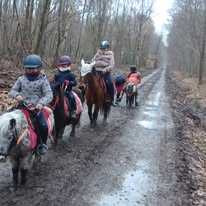 Centre Équestre de l'Orival : box et paddocks, pension pour chevaux à Les Grandes-Ventes - Photo 3 sur 5