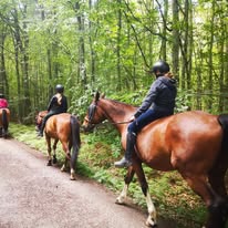 Centre Équestre de l'Orival : box et paddocks, pension pour chevaux à Les Grandes-Ventes - Photo 2 sur 5