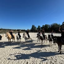 Les Ecuries d'Arandon & Fred Transport : box et paddocks, pension pour chevaux à Arandon-Passins - Photo 3 sur 4