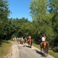 Les Ecuries d'Arandon & Fred Transport : box et paddocks, pension pour chevaux à Arandon-Passins - Photo 2 sur 4