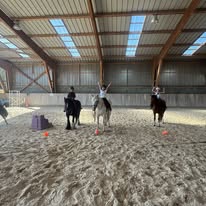 Les Ecuries d'Arandon & Fred Transport : box et paddocks, pension pour chevaux à Arandon-Passins - Photo 4 sur 4