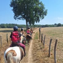 Les Ecuries de Laubanie - Ondine Launay : box et paddocks, pension pour chevaux à Augignac - Photo 2 sur 4