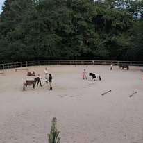 Les Ecuries de Laubanie - Ondine Launay : box et paddocks, pension pour chevaux à Augignac - Photo 3 sur 4