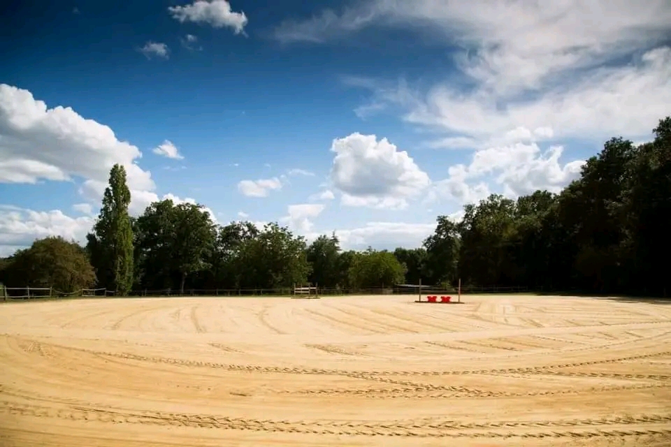 Les Écuries de l'Émeraude : box et paddocks, pension pour chevaux à Saint-Sauveur - Photo 1 sur 4