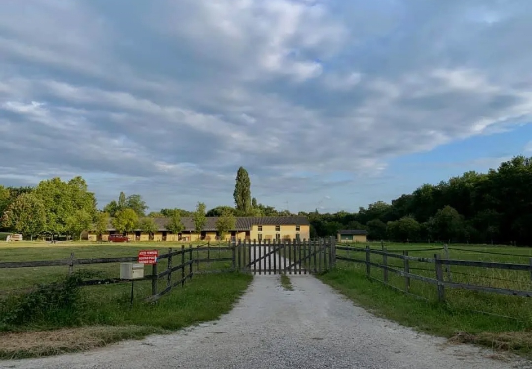 Les Écuries de l'Émeraude : box et paddocks, pension pour chevaux à Saint-Sauveur - Photo 4 sur 4
