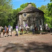 Asbl les Écuries Bavier et moment poney : box et paddocks, pension pour chevaux à Saint-Ghislain - Photo 2 sur 4