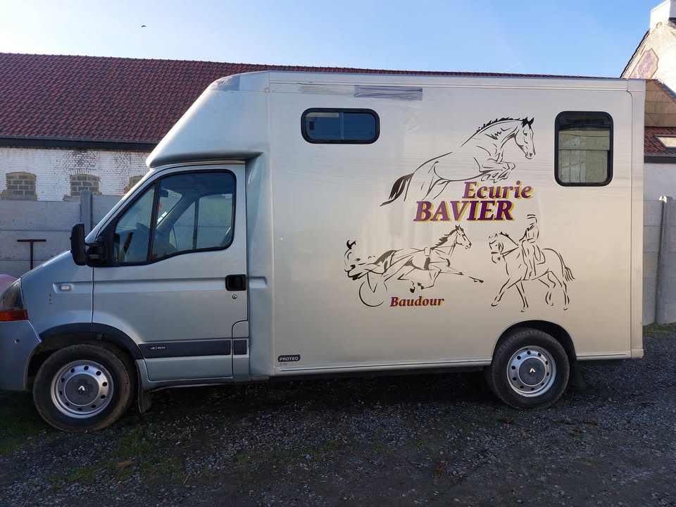 Asbl les Écuries Bavier et moment poney : box et paddocks, pension pour chevaux à Saint-Ghislain - Photo 1 sur 4