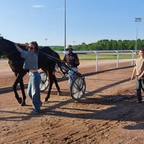 Asbl les Écuries Bavier et moment poney : box et paddocks, pension pour chevaux à Saint-Ghislain - Photo 4 sur 4