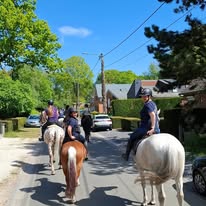 Asbl les Écuries Bavier et moment poney : box et paddocks, pension pour chevaux à Saint-Ghislain - Photo 3 sur 4
