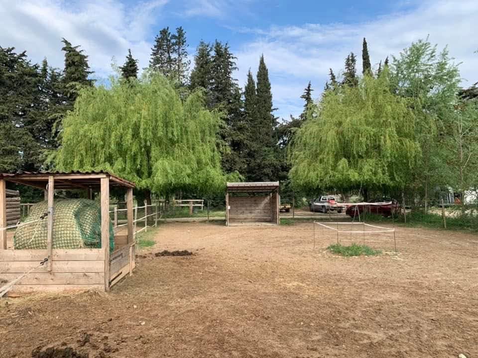 Les Ecuries de Sebo : box et paddocks, pension pour chevaux à Puyvert - Photo 3 sur 5