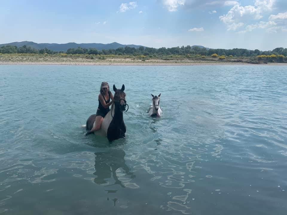 Les Ecuries de Sebo : box et paddocks, pension pour chevaux à Puyvert - Photo 5 sur 5