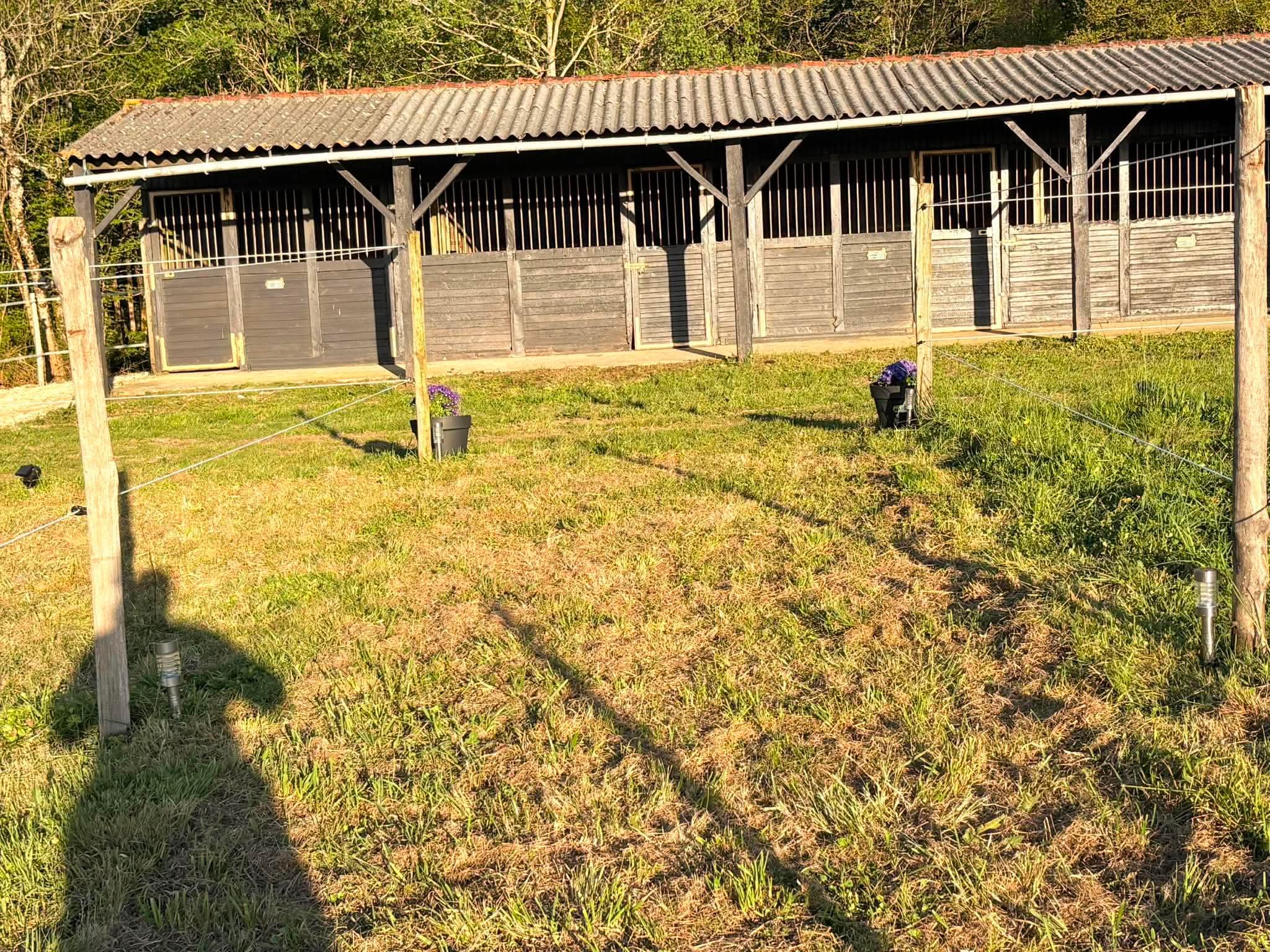 Les ecuries de rabion : box et paddocks, pension pour chevaux à Montmérac - Photo 3 sur 5