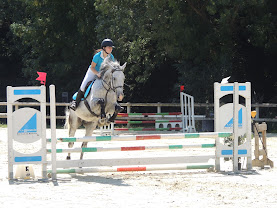 Les Écuries du Breuil : box et paddocks, pension pour chevaux à Valdelaume - Photo 3 sur 8
